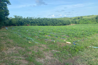  terrain vauclin 97280