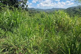  terrain vauclin 97280