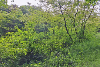  terrain venarsal 19360