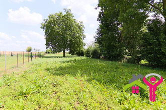  terrain vertain 59730