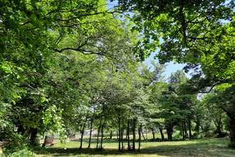  terrain viala-du-pas-de-jaux 12250