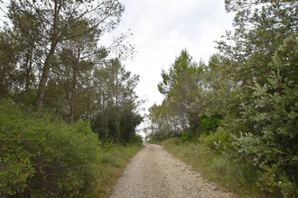  terrain vic-le-fesq 30260