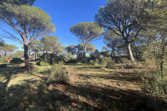  terrain vidauban 83550