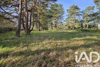  terrain vieilles-maisons-sur-joudry 45260
