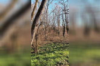  terrain villandraut 33730