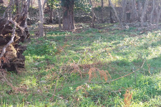  terrain ville-di-paraso 20279