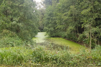  terrain ville-sur-ancre 80300