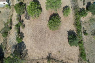  terrain villefloure 11570