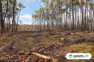  terrain villefranche-sur-cher 41200