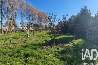  terrain villelongue-de-la-salanque 66410