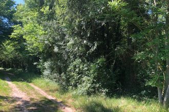  terrain villeneuve-sur-bellot 77510