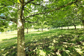  terrain villeneuve-sur-lot 47300