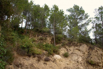  terrain villeseque-des-corbieres 11360