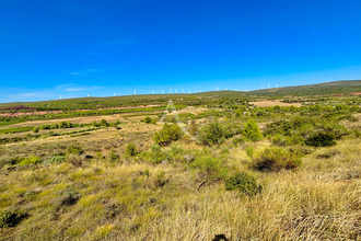  terrain villeveyrac 34560