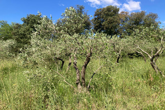  terrain villevieille 30250