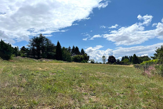  terrain violay 42780