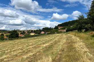  terrain violay 42780