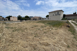  terrain violes 84150