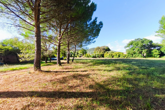  terrain viols-le-fort 34380