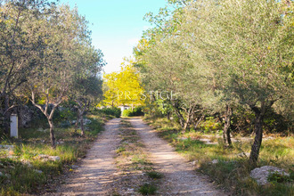  terrain viols-le-fort 34380