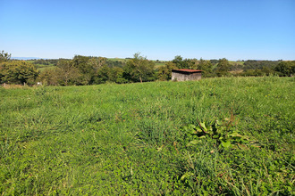  terrain virigneux 42140