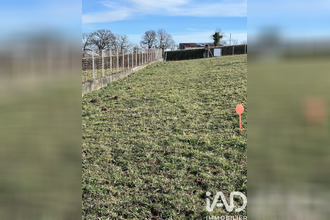  terrain visker 65200