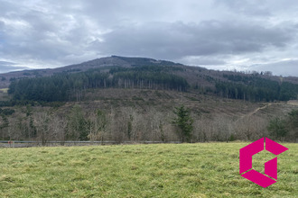  terrain vollore-ville 63120