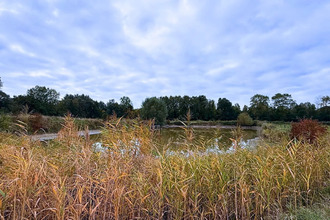  terrain wandignies-hamage 59870