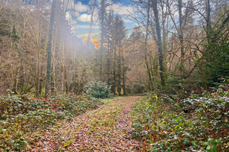  terrain willer-sur-thur 68760