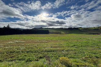  terrain yssingeaux 43200