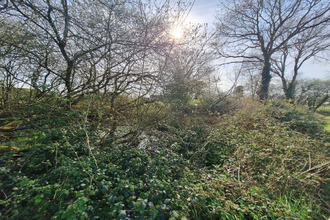  terrain yvignac-la-tour 22350