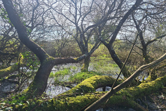  terrain yvignac-la-tour 22350
