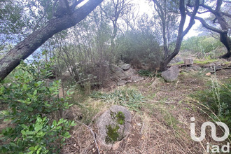  terrain zonza 20144