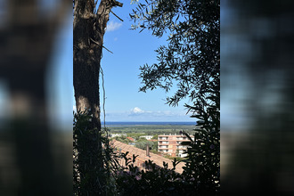 Vente Appartement 20290, Borgo France