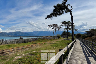 Ma-Cabane - Vente Appartement Calvi, 65 m²