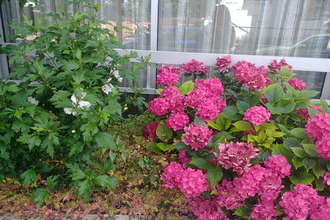 Ma-Cabane - Vente Appartement CROISSY-SUR-SEINE, 54 m²