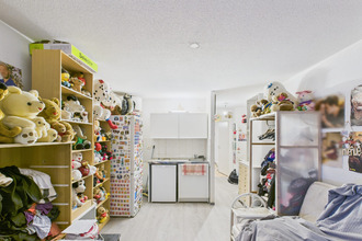 Ma-Cabane - Vente Appartement Erstein, 33 m²