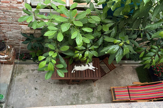 Ma-Cabane - Vente Appartement Toulouse, 58 m²