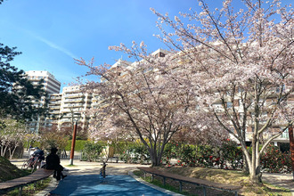 Ma-Cabane - Vente Appartement VINCENNES, 63 m²