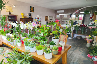 Ma-Cabane - Vente Boutique MARSEILLE 9, 90 m²