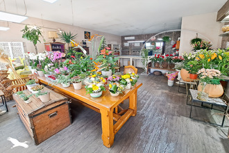 Ma-Cabane - Vente Boutique MARSEILLE 9, 90 m²