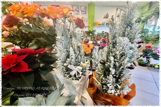 Vente Boutique 18500, MEHUN SUR YEVRE France