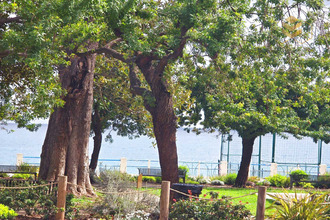 Vente Boutique 06500, Menton France