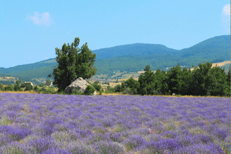 Ma-Cabane - Vente Boutique Montélimar, 1000 m²