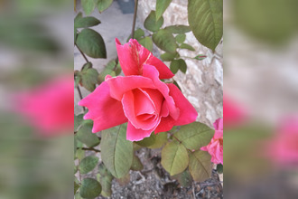 Ma-Cabane - Vente Boutique Paris, 75 m²