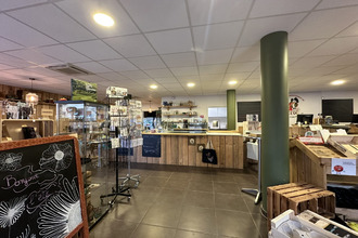 Ma-Cabane - Vente Boutique Rosheim, 193 m²