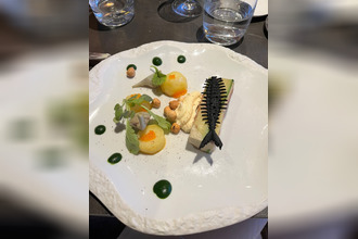 Ma-Cabane - Vente Boutique SAINTE MAXIME, 600 m²
