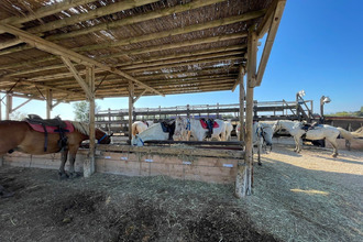 Ma-Cabane - Vente Boutique Saintes-Maries-de-la-Mer, 10000 m²