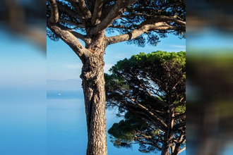 Ma-Cabane - Vente Divers ANTIBES, 404 m²