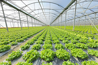 Ma-Cabane - Vente Divers BOMPAS, 18000 m²